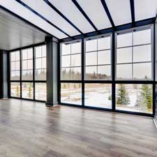 Hardwood floor and large glass windows with pine trees outside